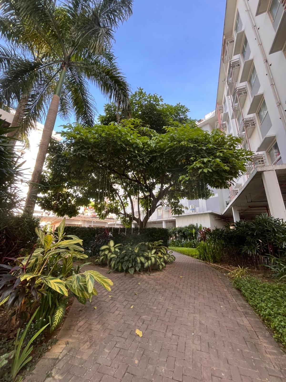 Summum Bonum Bliss - Lahug Aparthotel Cebu Luaran gambar